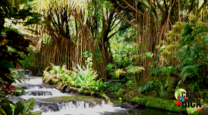 Arenal Volcano with Tabacon Hot Springs