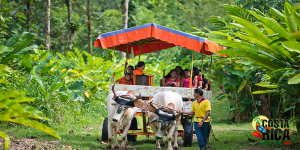 Cinco Ceibas Rain Forest Reserve and Adventure Park