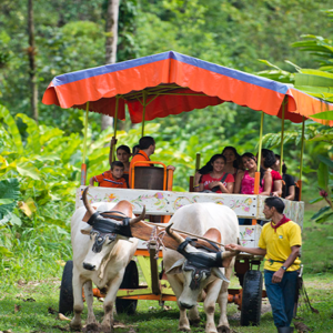 Cinco Ceibas Rain Forest Reserve and Adventure Park