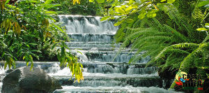 Perfect Combination (Canopy San Luis and Tabacón Hot Springs)