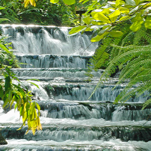 Perfect Combination (Canopy San Luis and Tabacón Hot Springs)