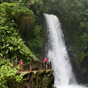 Doka Coffe Tour and La Paz Waterfall Gardens