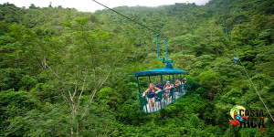 Rain Forest Aerial Tram
