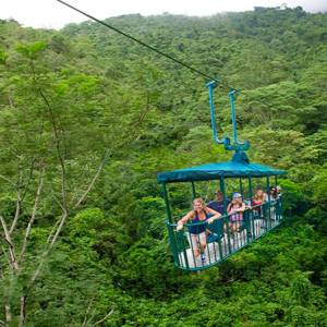 Rain Forest Aerial Tram