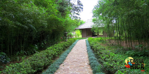 Irazu Volcano/Orosi Valley/Lankester Garden