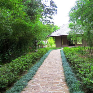 Irazu Volcano/Orosi Valley/Lankester Garden