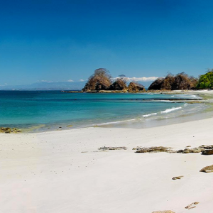 The Best of the Pacific