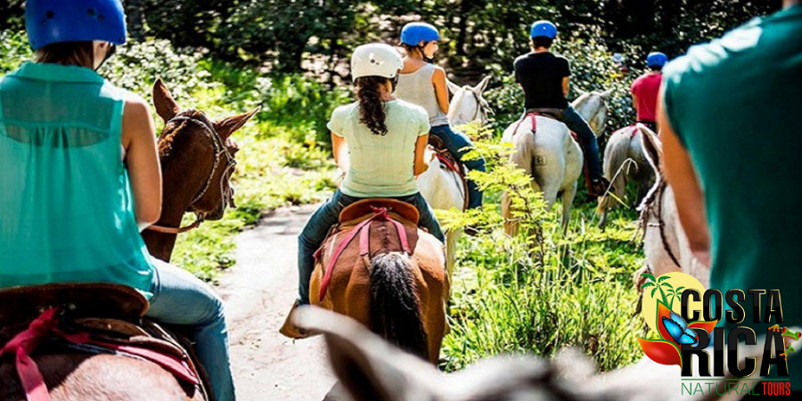 Horseback riding and boat cruise in the Rainforest