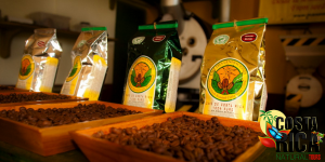 Doka Coffee Tour & Poas Volcano