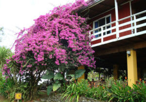 DSC01202
